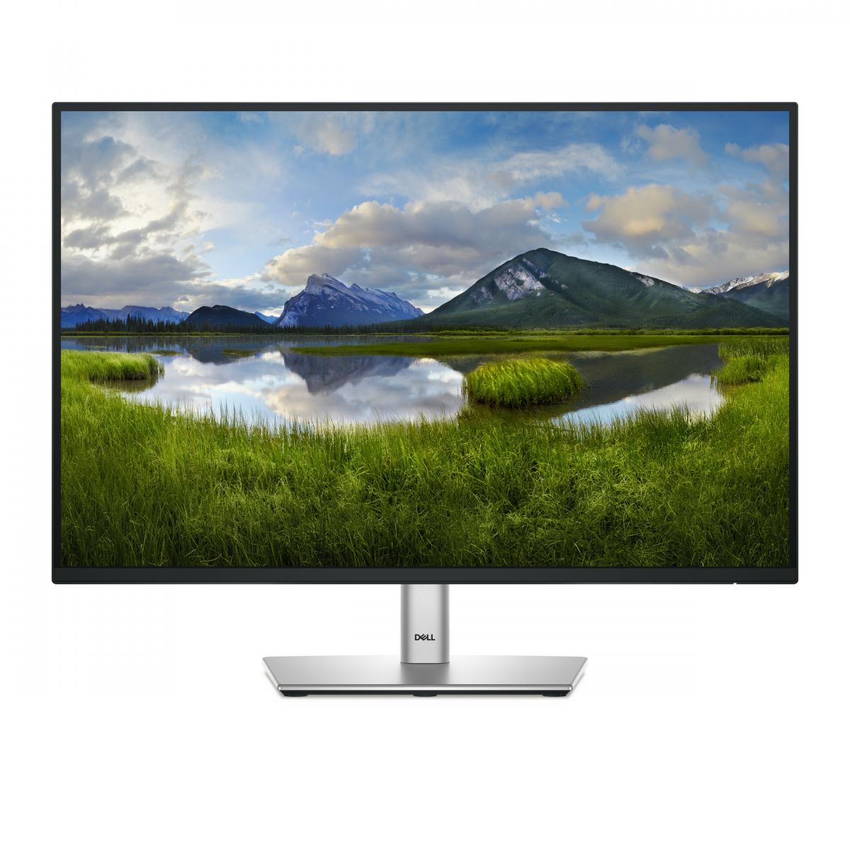 DELL 24 IPS MONITOR P2425E              