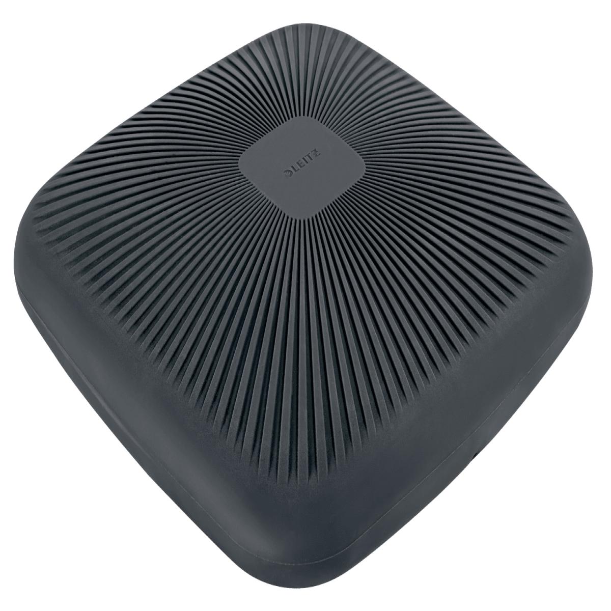 Leitz Ergo Active Wobble Cushion