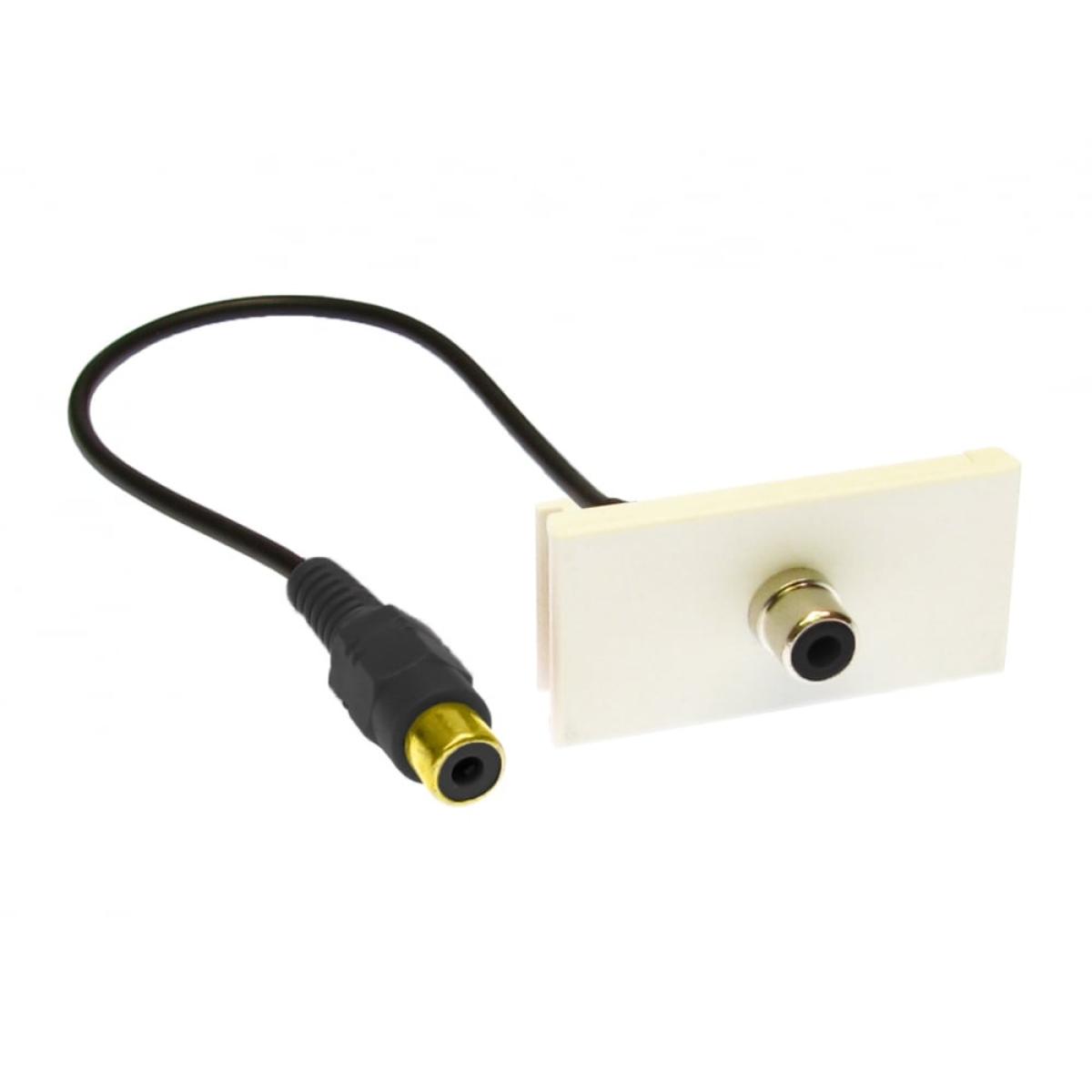 CDL Black RCA Module