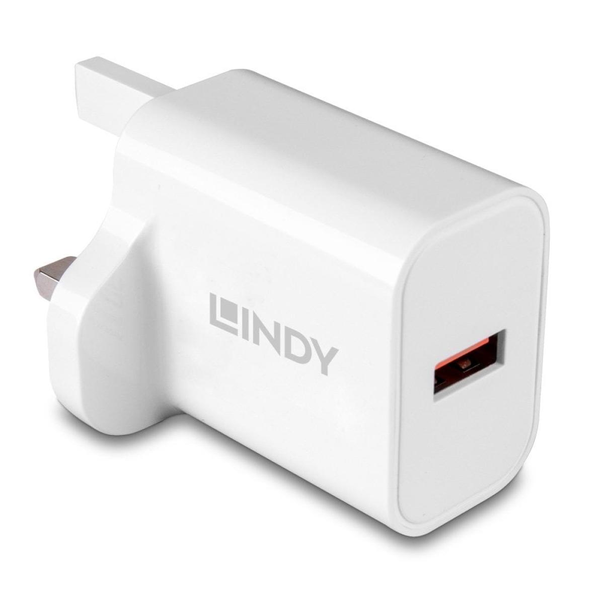 Lindy 73415 mobile device charger