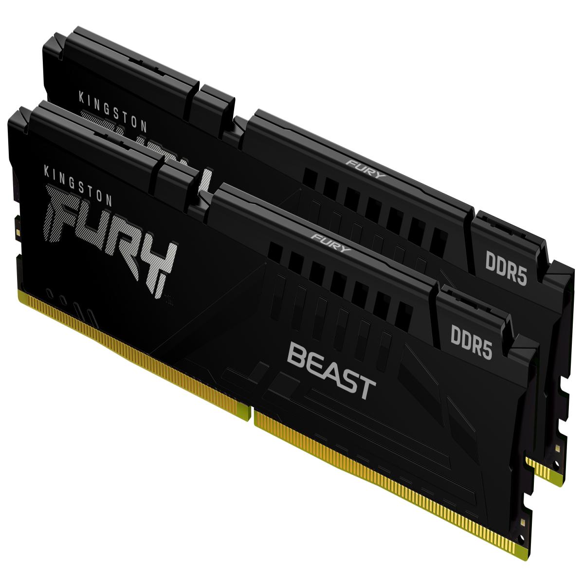Kingston Technology FURY Beast memory module