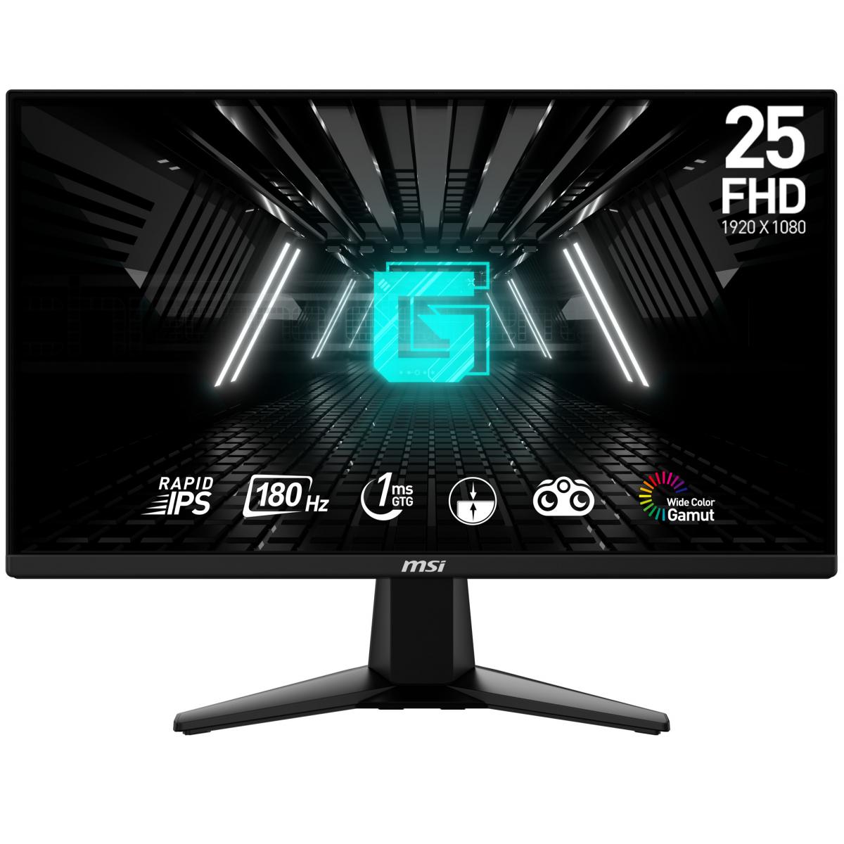 MSI 24.5 IPS MONITOR G255F              