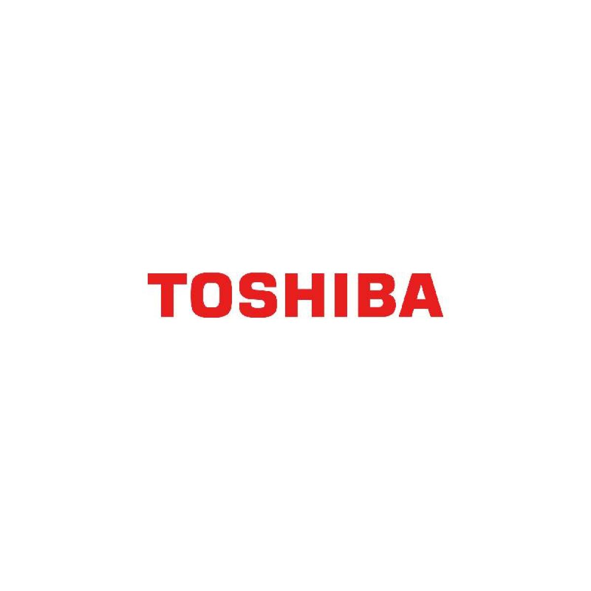 Toshiba N300 NAS Hard Drive 12TB (512MB)