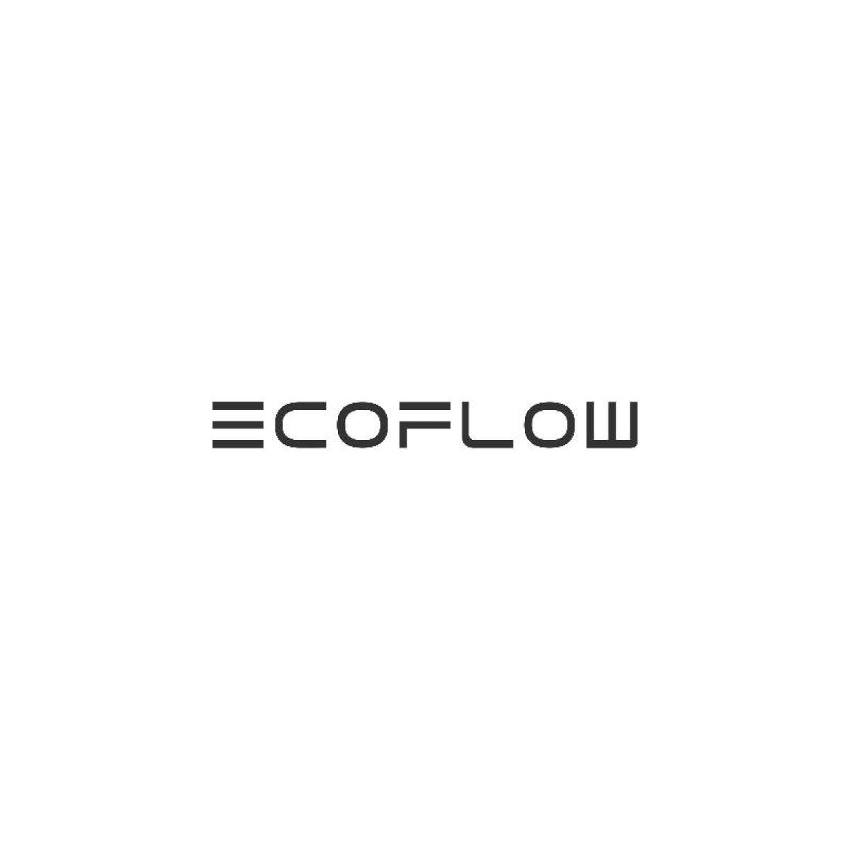 EcoFlow Power Hat 12W Large-XL