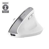 Trust Bayo+ mouse Office Right-hand RF Wireless + Bluetooth Optical 2400 DPI