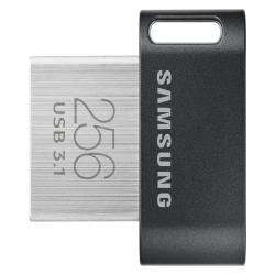 Samsung 256GB Fit Plus