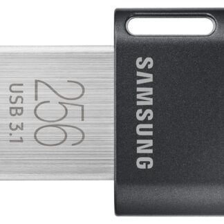 Samsung 256GB Fit Plus