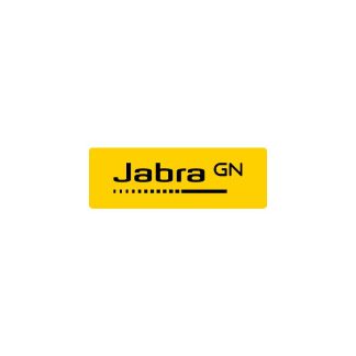 Jabra Evolve 10