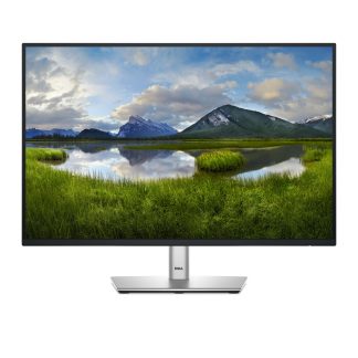 DELL 24 IPS MONITOR P2425E