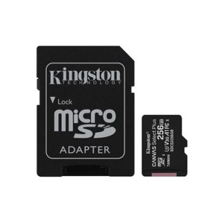 Kingston Technology Canvas Select 256GB micSDXC Plus 100R A1 C10 Card + ADP
